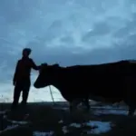 Прем'єра українського кіноальманаху «Війна очима тварин» відбулася на кінофестивалі Tribeca