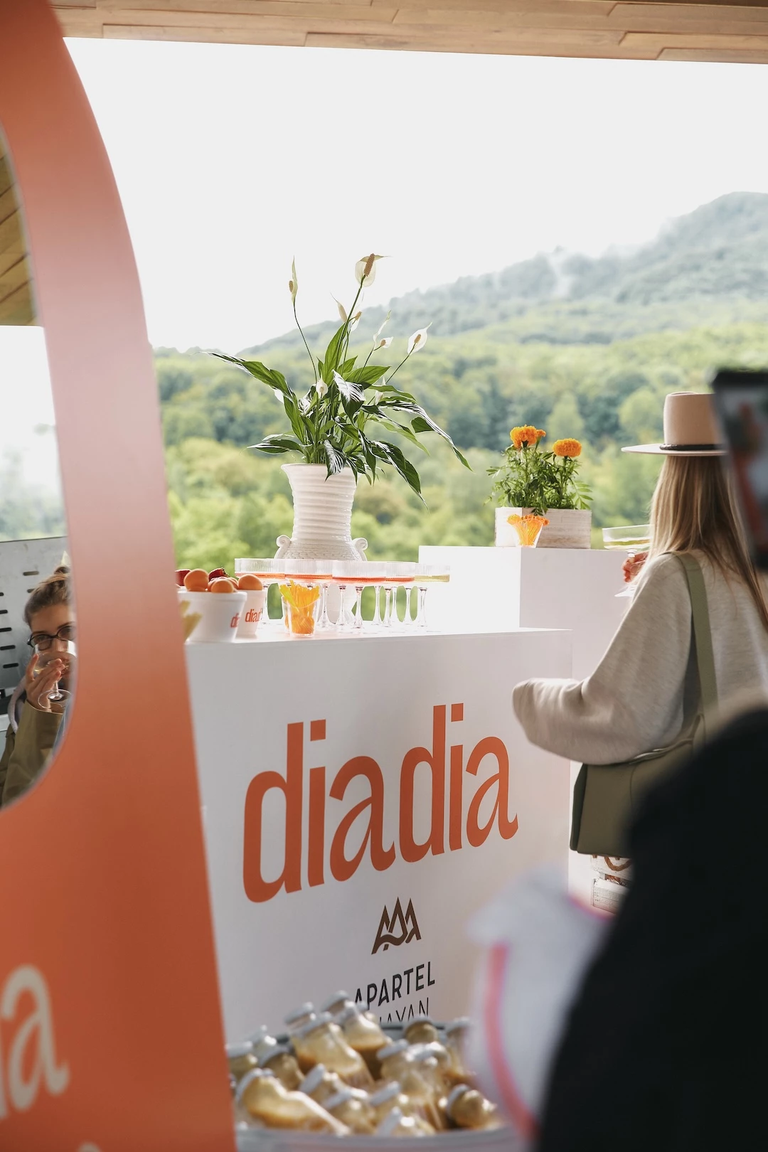 Як пройшов другий прес-тур diadia Закарпаттю: ідеальний сценарій літньої подорожі?3