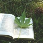 4 чудові книги, які стали сучасною класикою. Ви точно захочете…