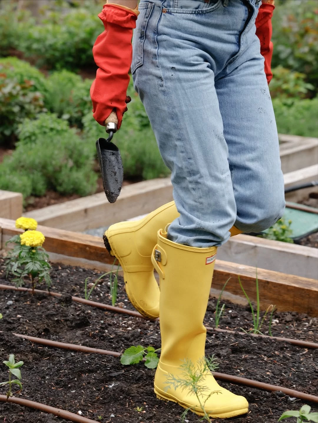 В гостях у Памели Андерсон: акторка показала свій дім на узбережжі2