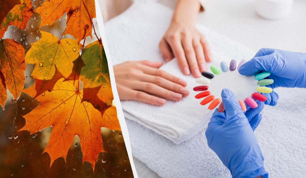 ДоКолаж УНІАН / фото pexels.com, ua.depositphotos.com ДоКолаж УНІАН / фото pexels.com, ua.depositphotos.com