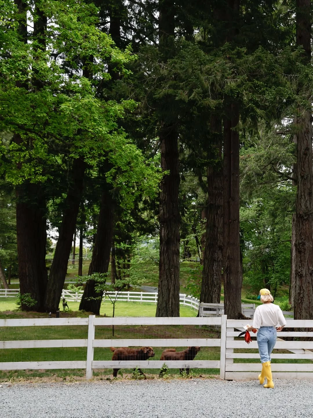 В гостях у Памели Андерсон: акторка показала свій дім на узбережжі5