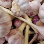 Часник на ніч: мій експеримент та висновки