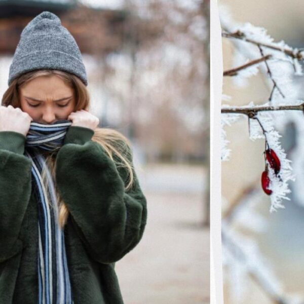 Зимові тренди 2025: актуальні кольори