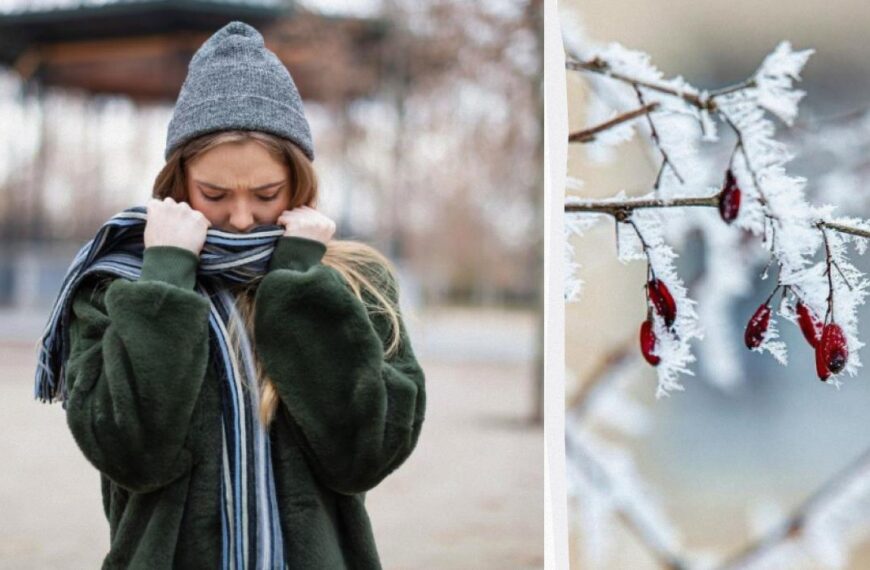 Зимові тренди 2025: актуальні кольори