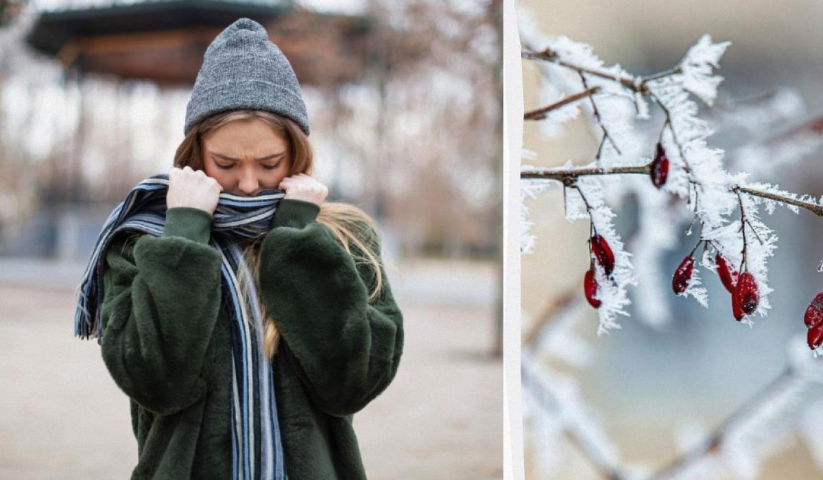 юКолаж УНІАН / фото Pixabay, ua.depositphotos.com юКолаж УНІАН / фото Pixabay, ua.depositphotos.com