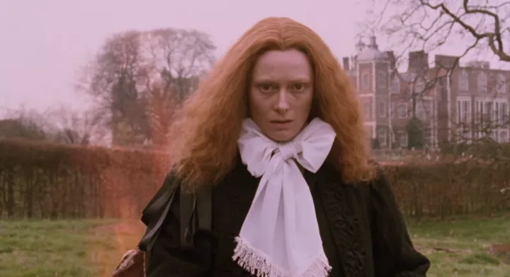 5 найяскравіших перевтілень Тільди Свінтон у кіно1