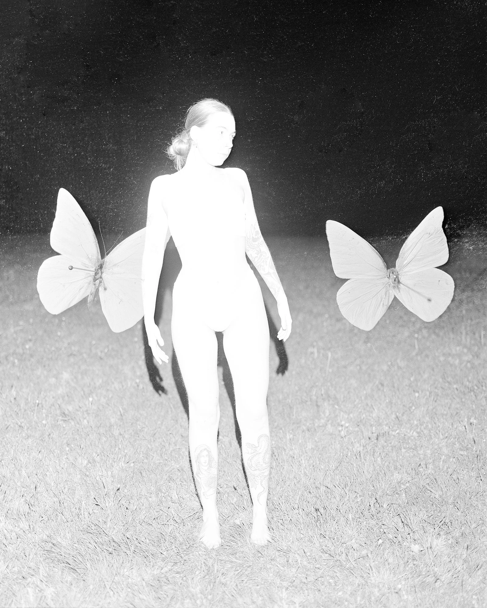 Фото: Alice Poyzer0