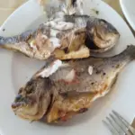 Який сорт риби виводить холестерин краще за статинів: кардіолог назвав…