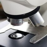 У Гонконгу з початку року зросла кількість хворих на лихоманку…