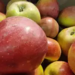 Що буде, якщо їсти по одному яблуку на день протягом…