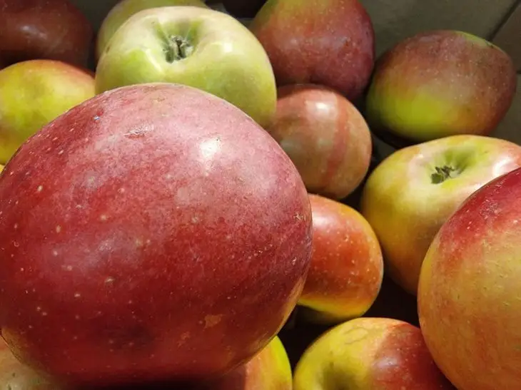 Що буде, якщо їсти по одному яблуку на день протягом місяця: зміни, які ви помітите вже за тиждень яблоки