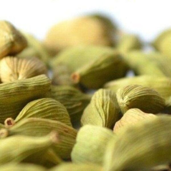 Кардамон: захист від вірусів, висновки аналізу | Блог | Олег Швець