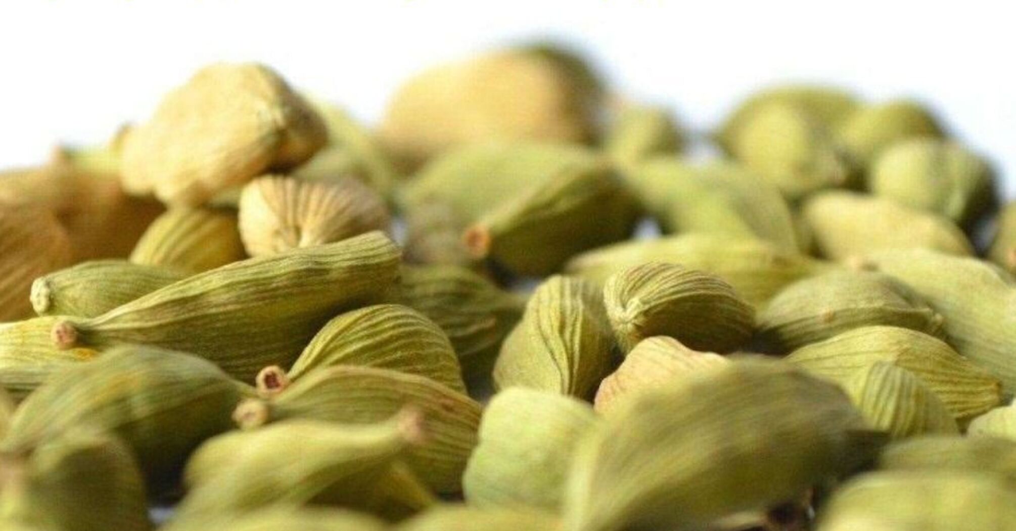 Кардамон проти вірусних інфекцій: результати дослідження