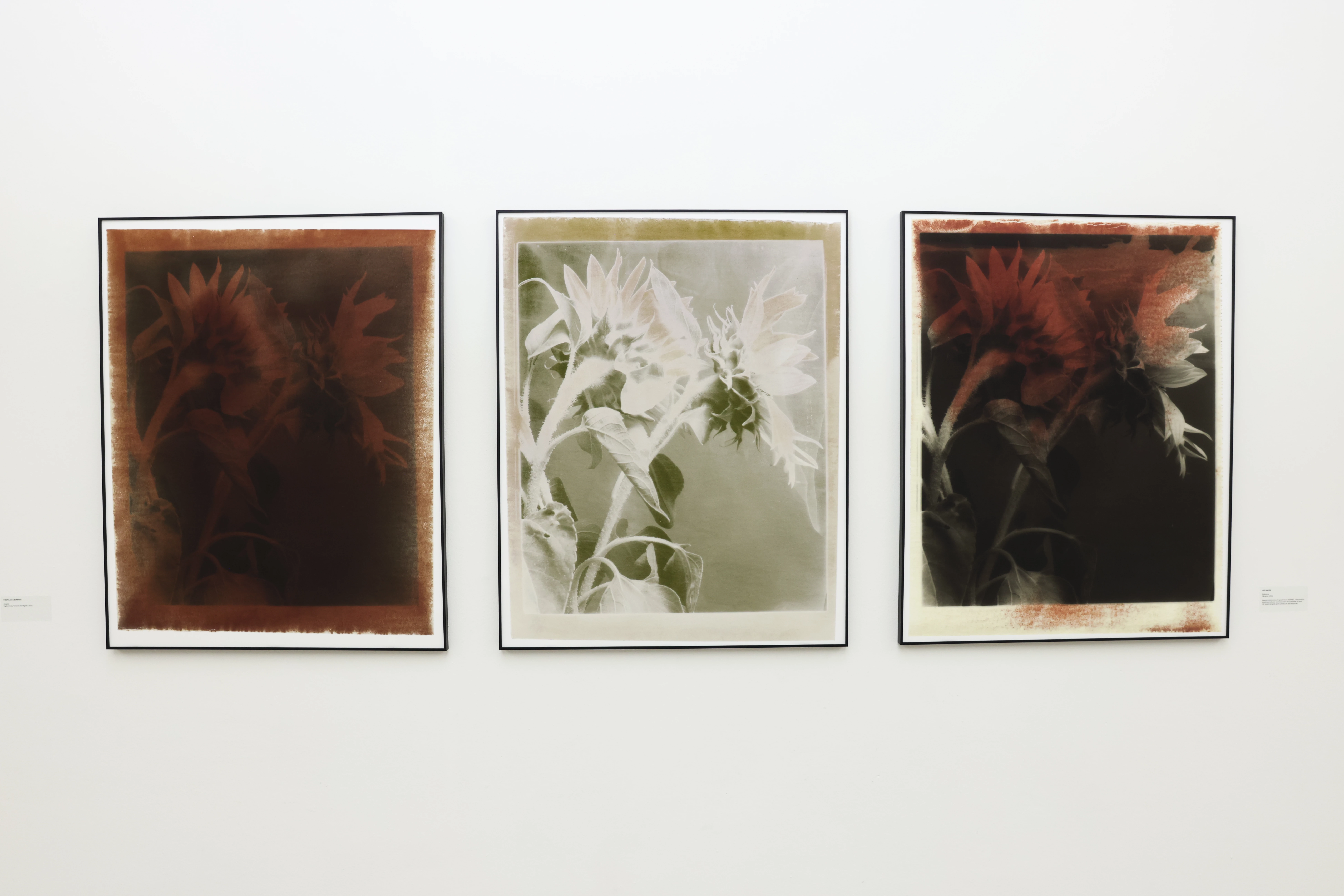 Фото: Вік Бакін3