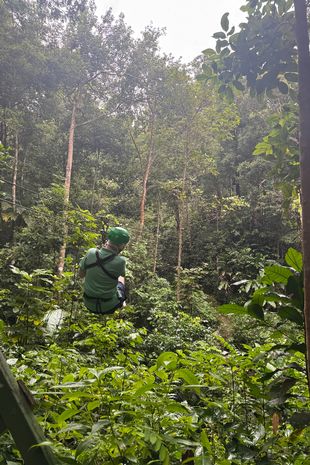 Зіплайни у Сент-Люсії