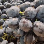 Помилка 90% тих, хто худне: цей фрукт на сніданок зводить…