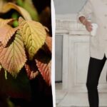 Наймодніші легінси осені 2025: актуальні пропозиції