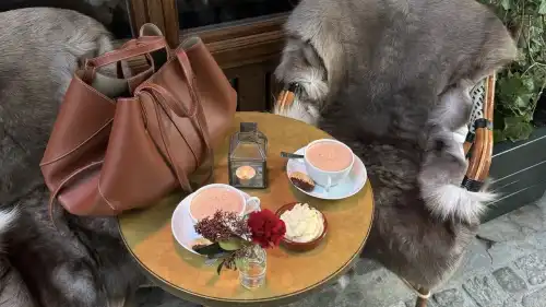 Ця сумочка личитиме до будь-якого одягу, і вона безперечно необхідна вам взимку 2025/26.