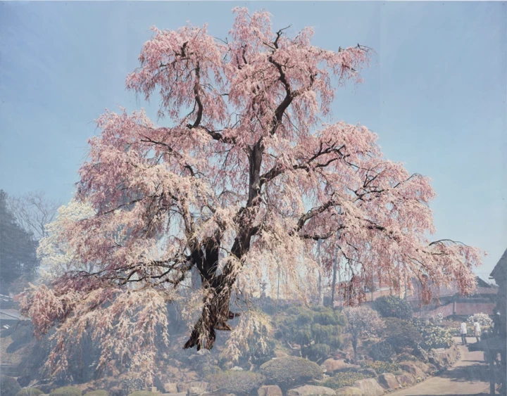 7 захоплюючих виставок весни у Києві та Львові1