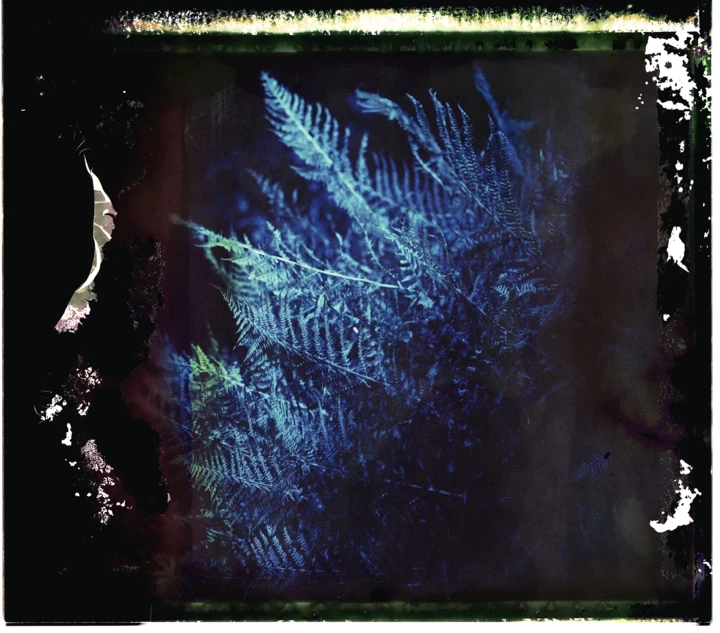 Краса Карпат, звільнення жінок та чуттєвість на виставці фотографій "Солоні роси" в Києві1