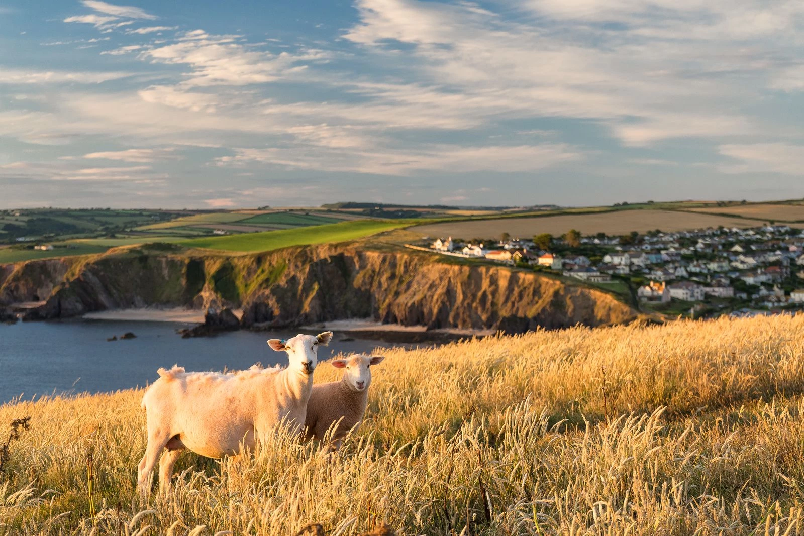 12 головних напрямків для подорожей у 2026 році9