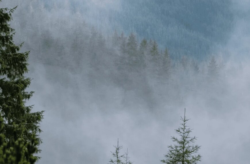 Пекло — це ущелина, де туман можна відчути на дотик