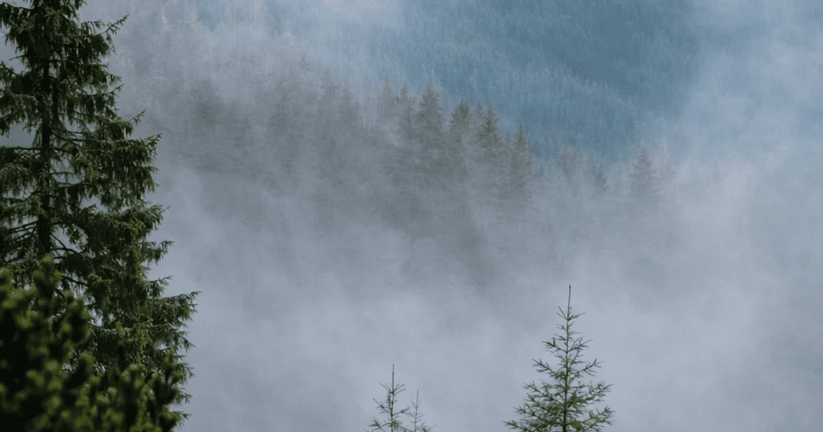 Урвище Пекло Instagram.com_litayeah