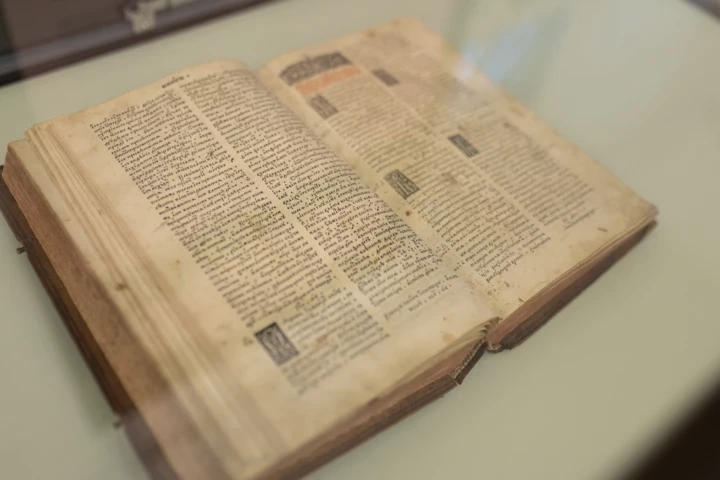 7 найзахопливіших експозицій лютого у Києві