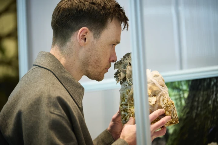 Що сталося з Amouage: оксамитова трансформація в елегантному домі