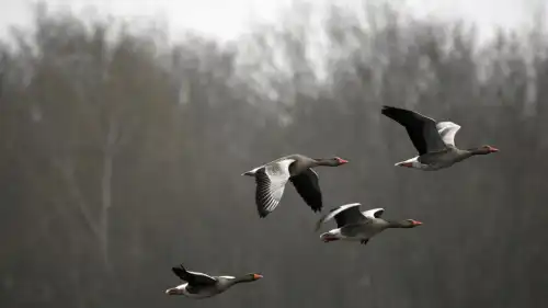 13 березня 2026 року, згідно з оновленим церковним календарем, відзначається&hellip;