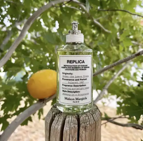 5 нестандартних ароматів свіжості, які захочеться використовувати щодня 12