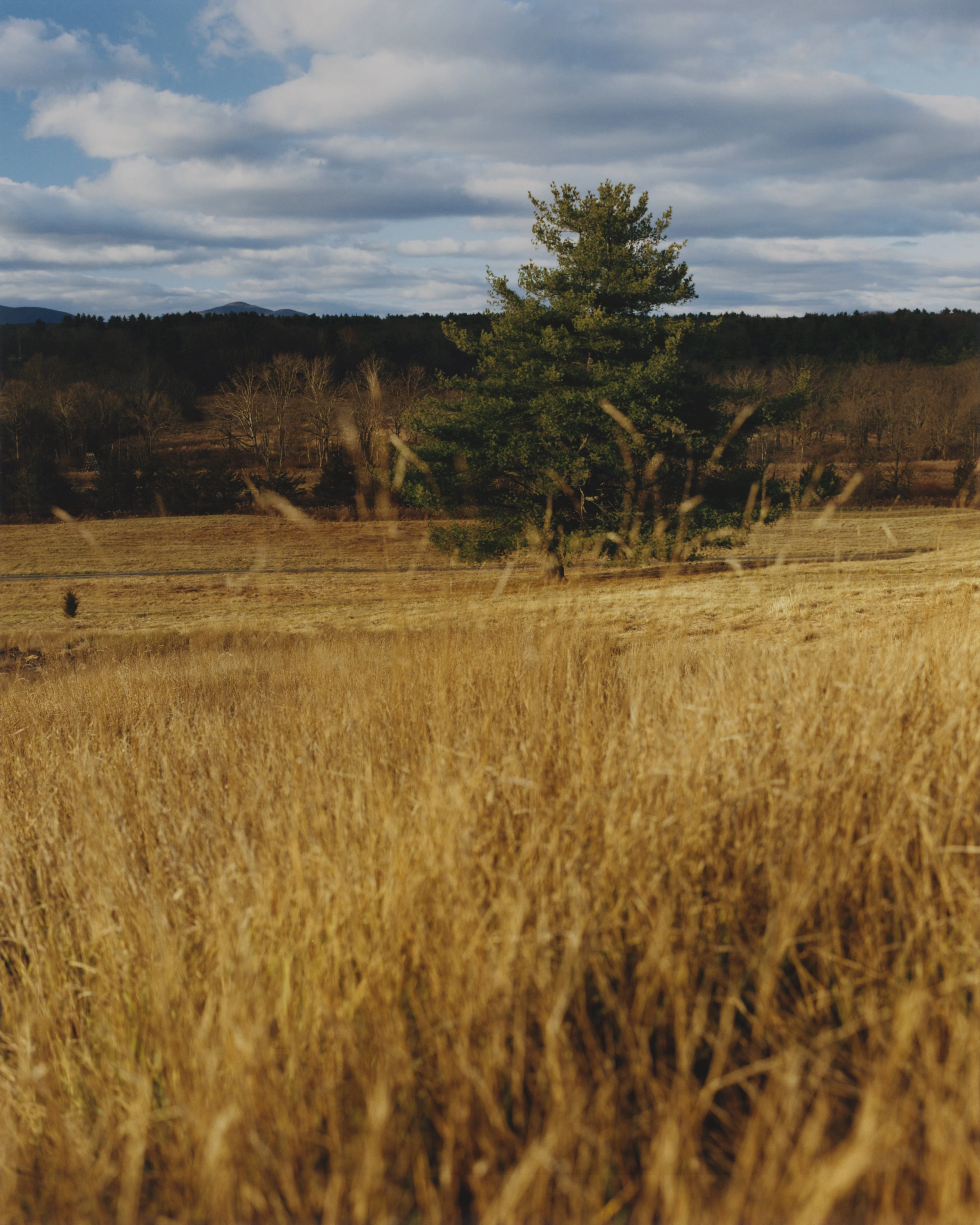 У пошуках спокою: розгорнуте інтерв'ю з Амандою Сейфрід12