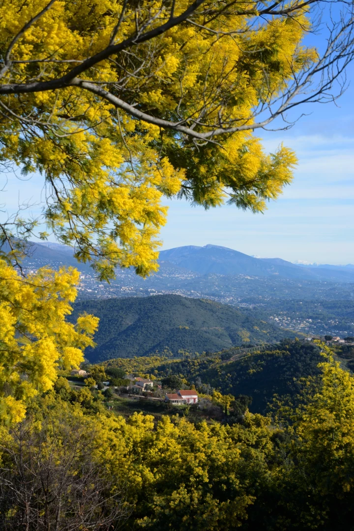 Справжнє мистецтво — це завжди щось незвідане": розмова з Наталі Лорсон у Копенгагені2