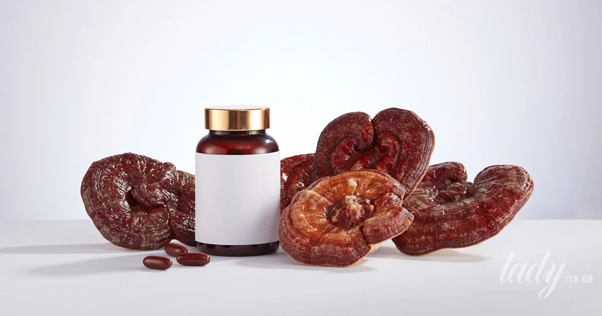 Гриб, що перевертає все догори дриґом — чому рейші здобуває…