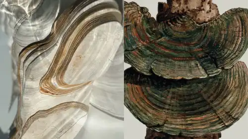 Взуття з грибниці: чому я втомилася від екомаркетингу, але повірила 7