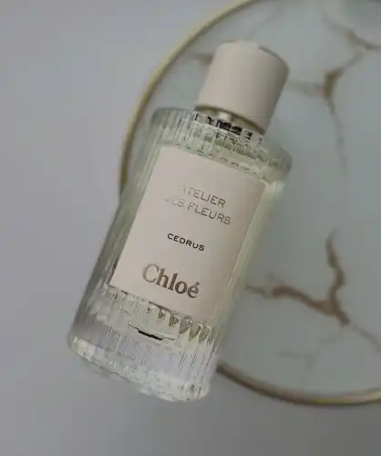 Життя після Ганімеда: 4 запахи, що домінуватимуть у кожному ліфті цього року 8