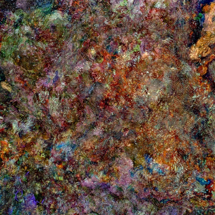 На виставці фотографії The Photography Show будуть представлені роботи українського митця Олексія Захова.3