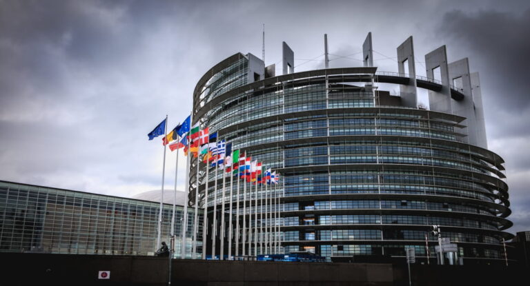 Європарламент надає депутаткам право делегувати голос під час вагітності та після народження дитини 1