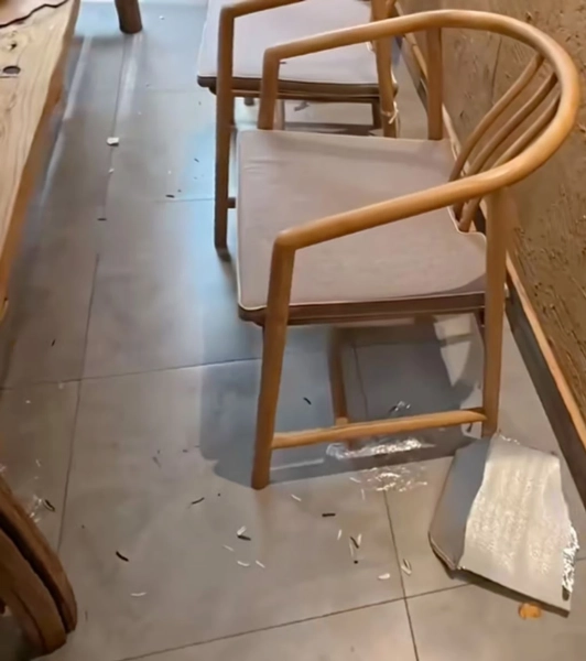 Кафе в Китаї встановило правила: жодного сміття, шкарпеток та крадіжок черепах! 6