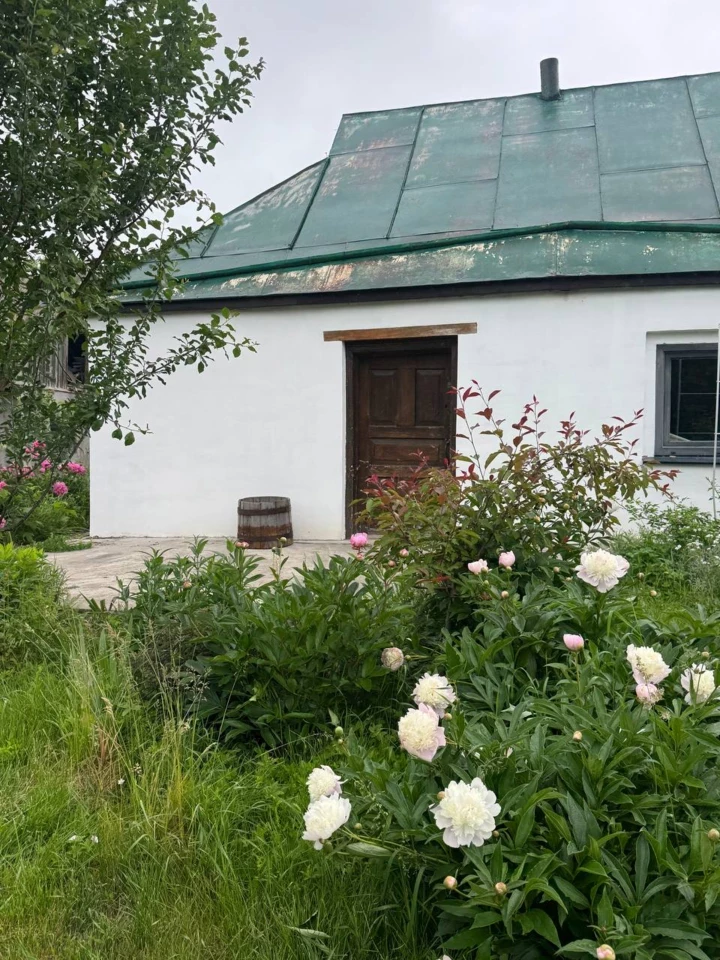 Садовий терапевтичний підхід: чому сьогодні всім необхідна терапія землею1