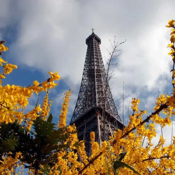 Вартість поїздки до Парижа: українка розкрила витрати