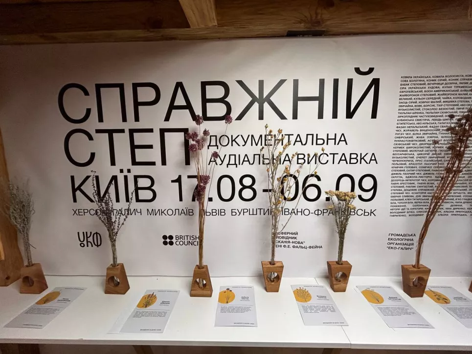 20 хвилин у справжньому степу: у Києві триває незвичайна інклюзивна виставка1