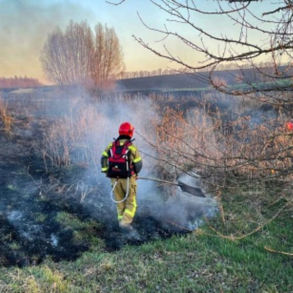 Небезпека та велика відповідальність: чому спалювання стерні та сухої трави є злочином