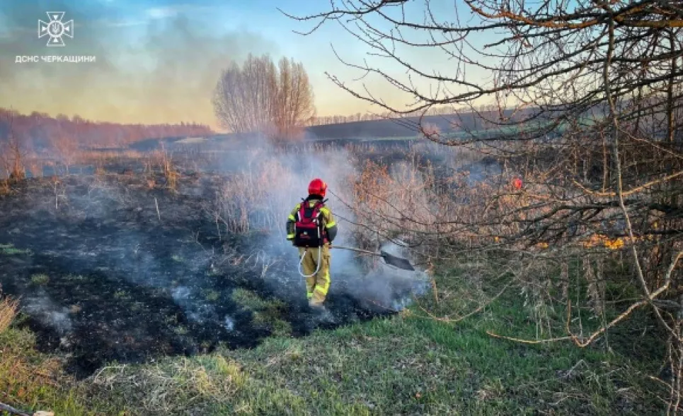 Небезпека та сувора відповідальність: чому спалювання стерні та сухостою є злочином1