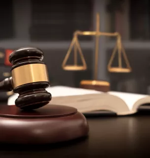 На Київщині судитимуть власника ділянок за створення несанкціонованого сміттєзвалища6