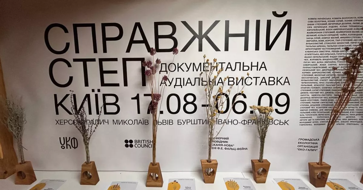 20 хвилин справжнього степу: у столиці проходить незвичайна інклюзивна виставка