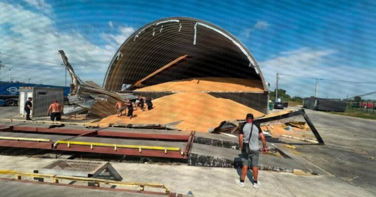 Нещасний випадок у приморському населеному пункті: в Одеській області сталась катастрофа зі сховищем зерна, є жертва. 1