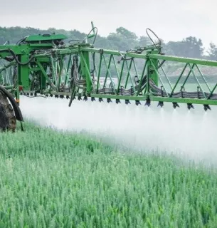Китай заблокував імпорт австралійських бобів мунг через гербіциди16