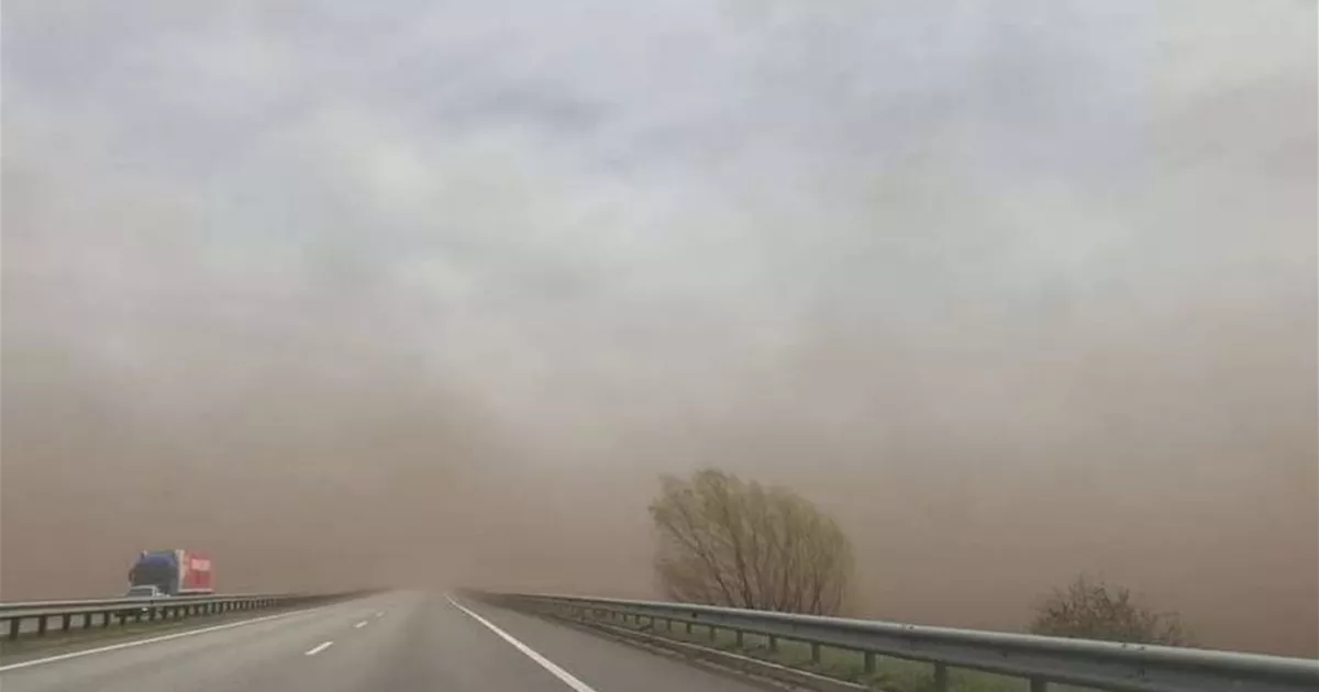 Перші докази користі ULEZ: як скорочення викидів автотранспорту в Лондоні врятувало легені дітей0